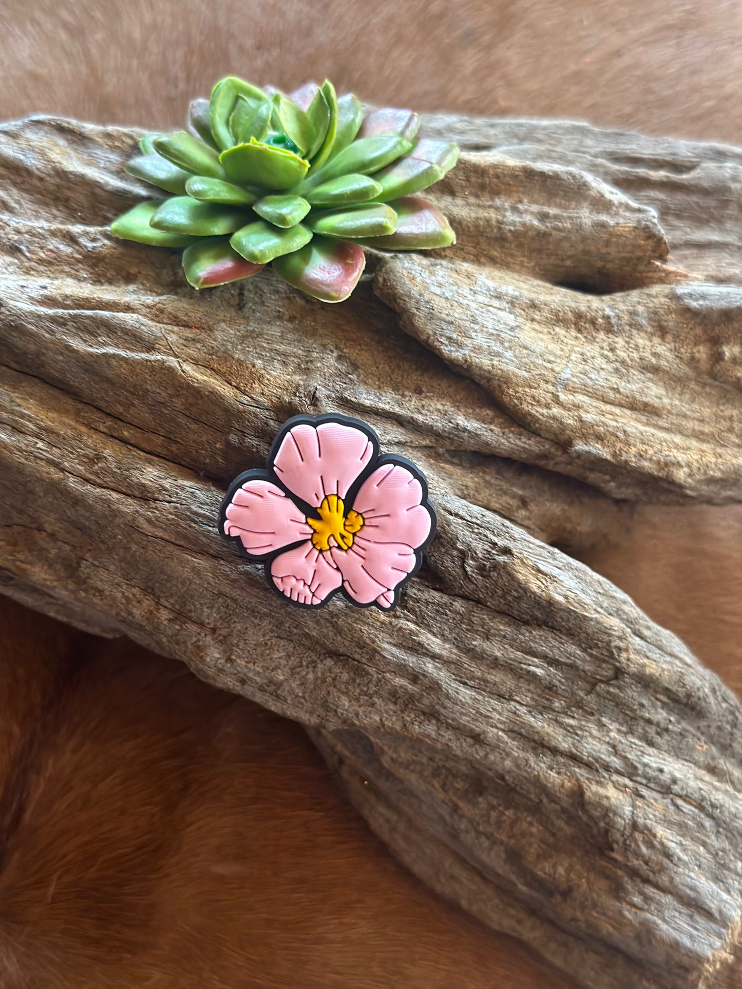 Pin Crocs Country