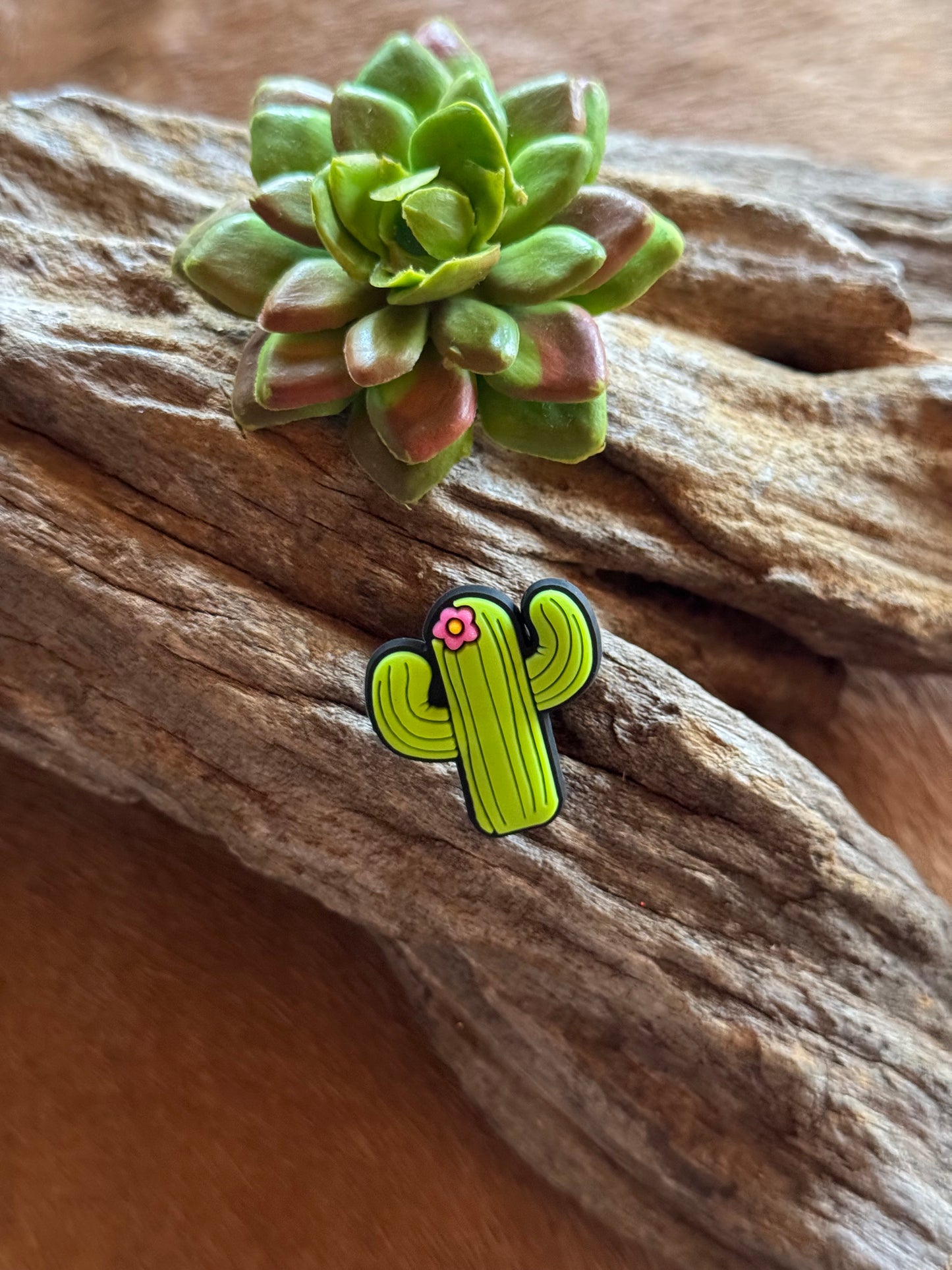 Pin Crocs Country